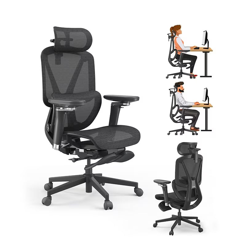 M2 MT Ergonomic High Back Office Chair With Lumbar Support
