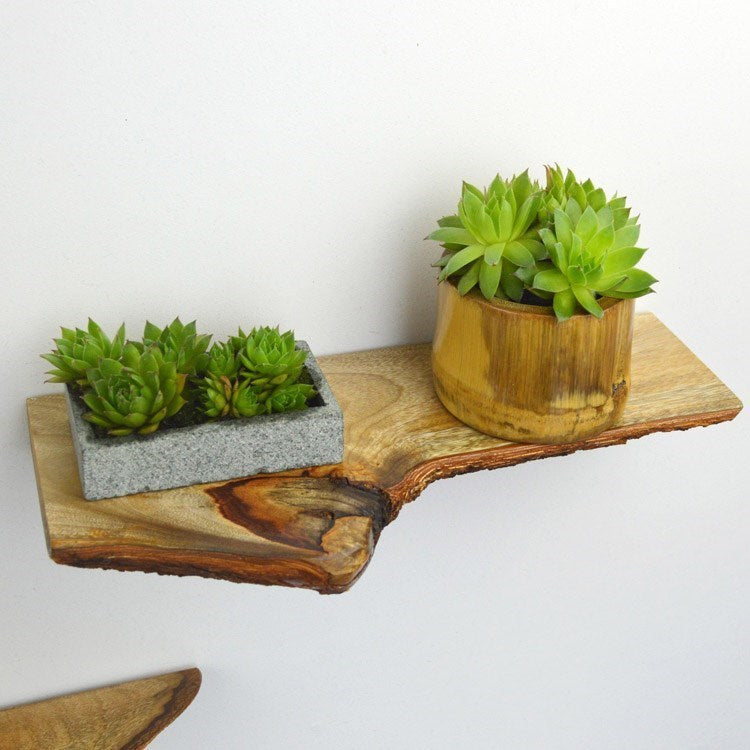 Solid Wood Wall Hanging Shelf Rustic Flower Partition Shelf