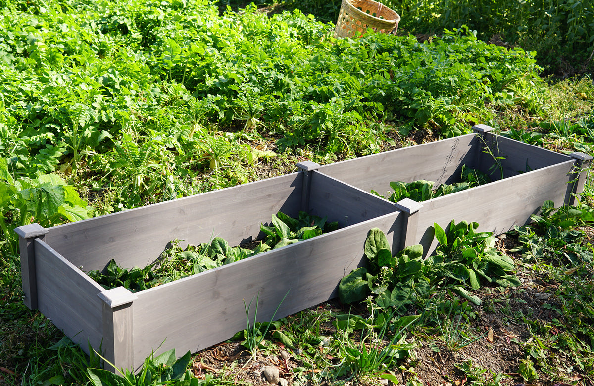 Anthony & Home Atelier Cedar raised garden bed 96x28x10 outdoor planter box with tool-free assembly, ideal for vegetable or flower gardening.