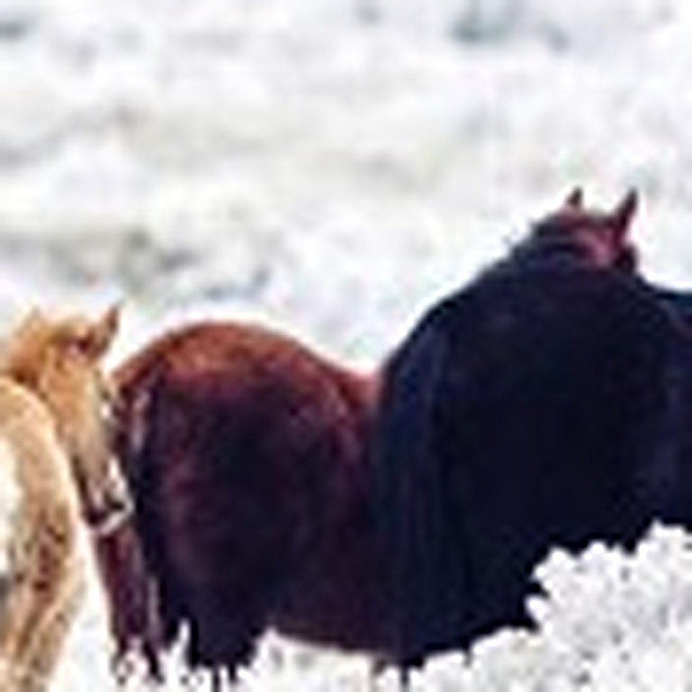 Set of Three White Canvas Square Framed Art