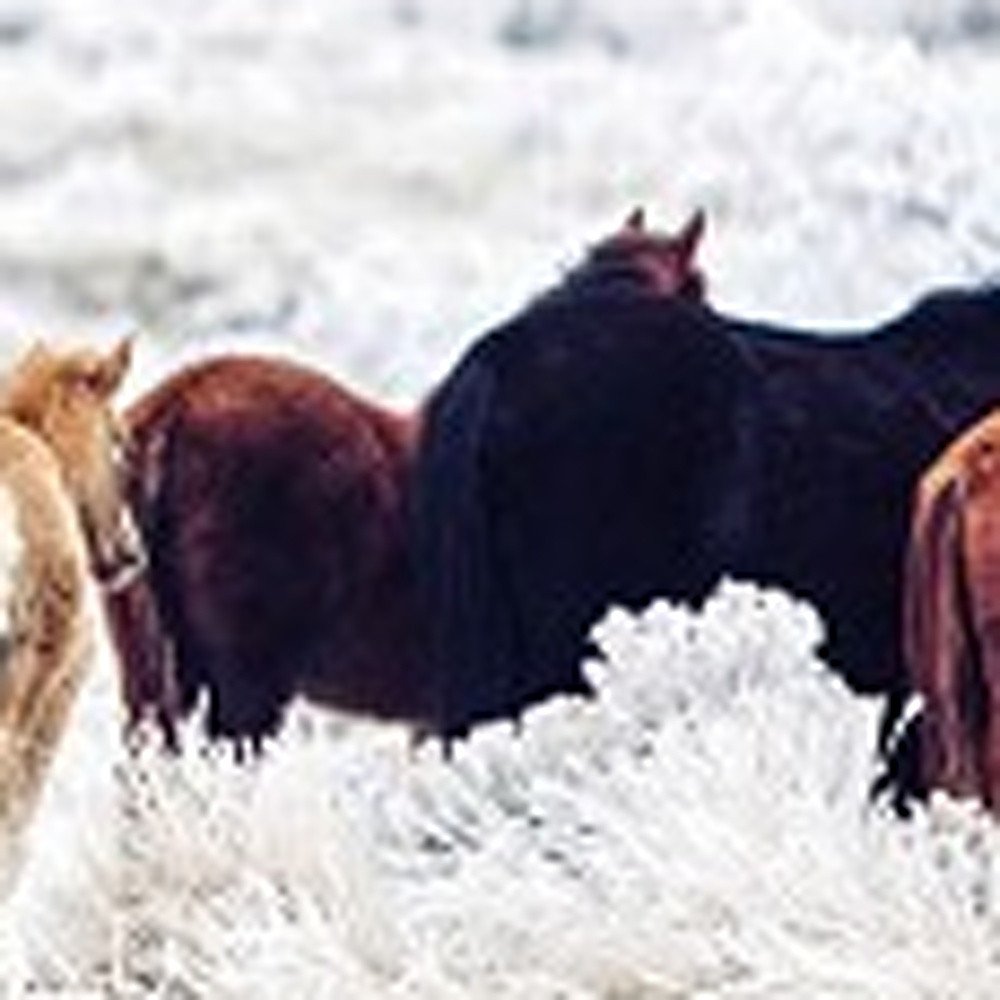 Set of Three White Canvas Square Framed Art