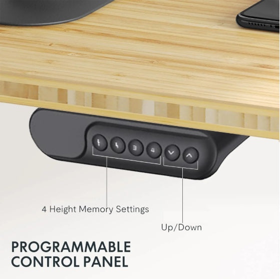 Electric Standing Desk Dual Motor Height Sit Stand 55x28