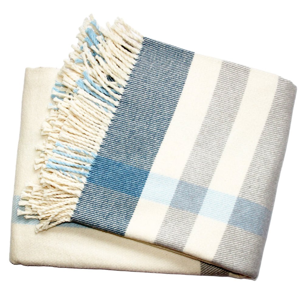 Soft plush blue plaid throw blanket with tassels from HomeRoots, shown folded with fringed edges on a neutral background.
