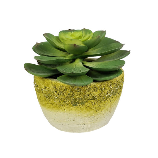 4" Green Artificial Succulent Succulent in a White And Yellow Pot