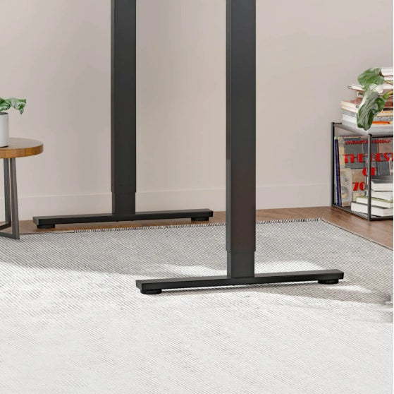 Electric Standing Desk Dual Motor Height Sit Stand 55x28