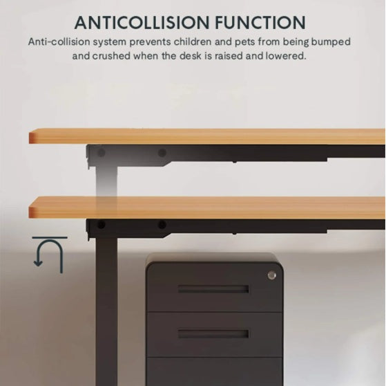 Electric Standing Desk Dual Motor Height Sit Stand 55x28
