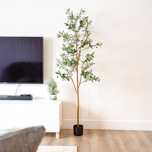Set of Two 72" Green Artificial Olive Trees in a Black Pots