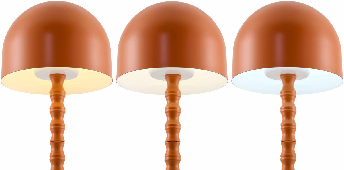 Orange Magdagachi table lamp from Boutique Rugs, featuring a sleek design with a vibrant orange finish, perfect for modern decor.