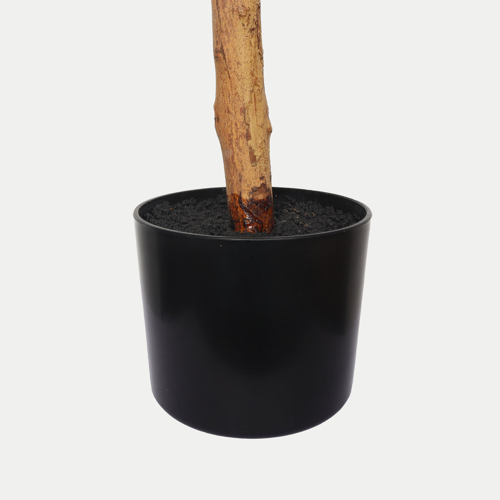 Artificial Ficus Tree, 6 ft tall with natural trunk in a black pot, ideal for indoor home or office decor by Anthony & Home.