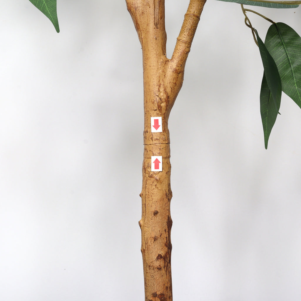 6-foot artificial ficus tree with natural trunk in black pot, ideal for indoor home or office decor by Anthony & Home.