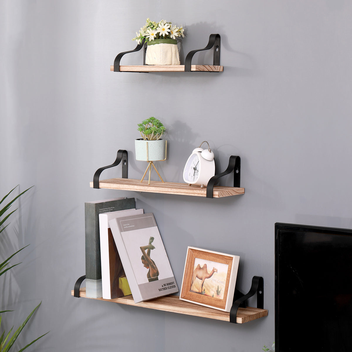 Set of three natural wood floating shelves from Anthony & Home, showcasing sleek, modern design for wall storage.