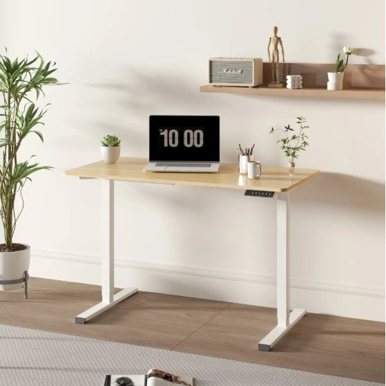 Electric Standing Desk Adjustable Height Sit Stand Desk