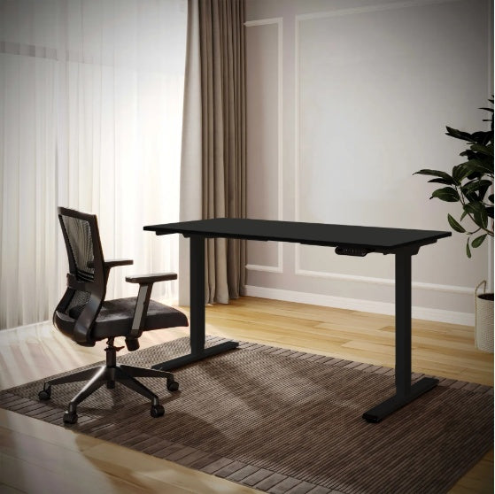 Electric Standing Desk Dual Motor Height Sit Stand 55x28