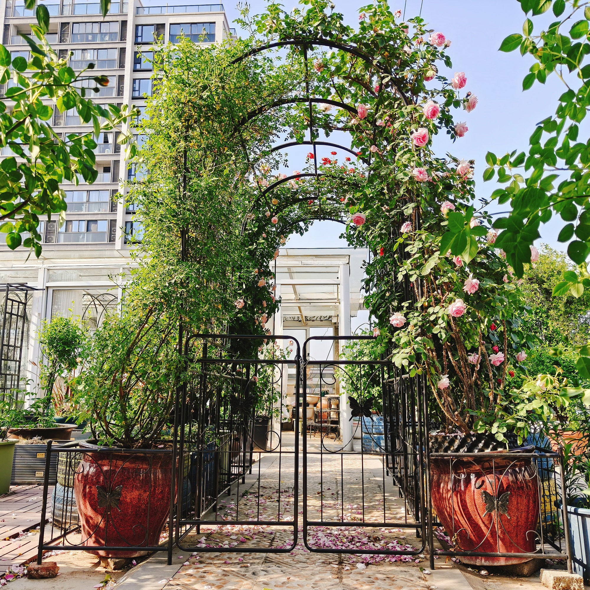 Black metal garden arch with gate, 79.5" wide and 86.6" high, ideal for climbing plants and roses in outdoor gardens.