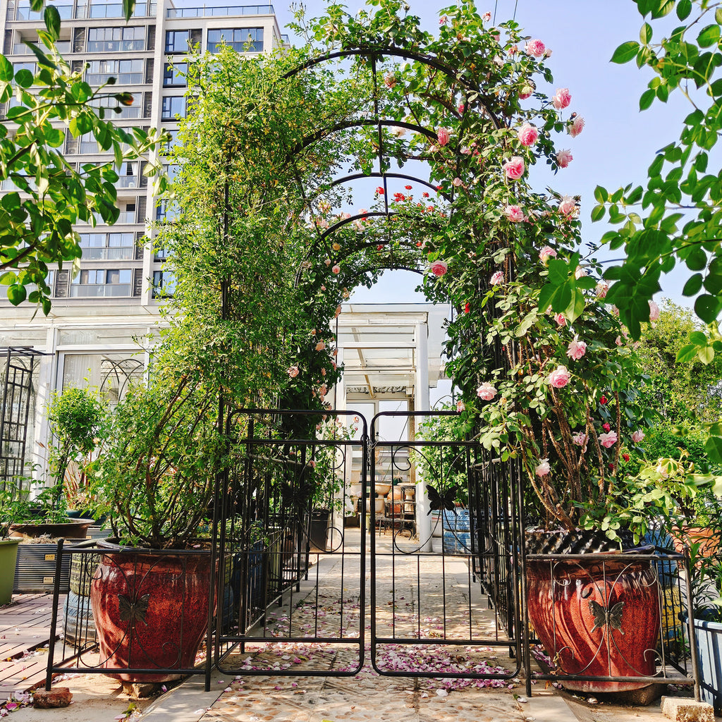 Black powder-coated metal garden arch with gate, 80 inches wide and 86 inches tall, rose arbor by Anthony & Home.