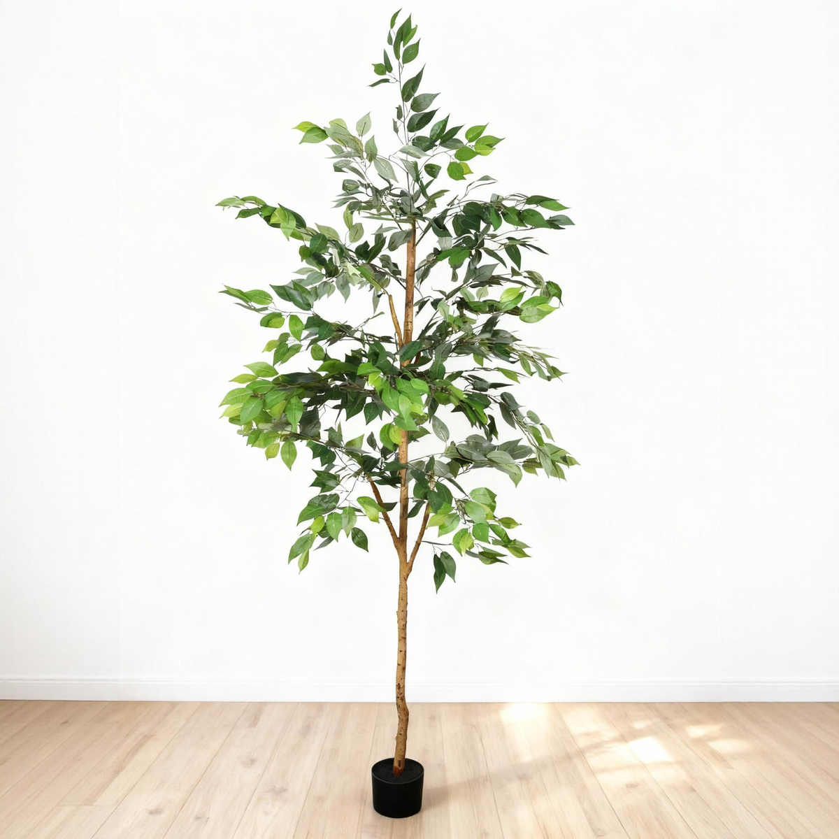 Artificial Ficus Tree, 6 ft tall with natural trunk in black pot, ideal for indoor home or office décor.
