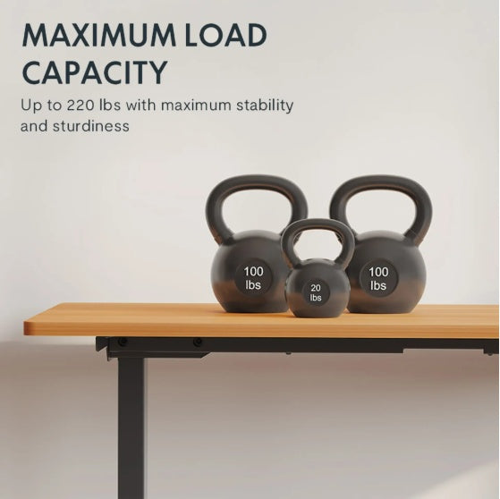 Electric Standing Desk Dual Motor Height Sit Stand 55x28