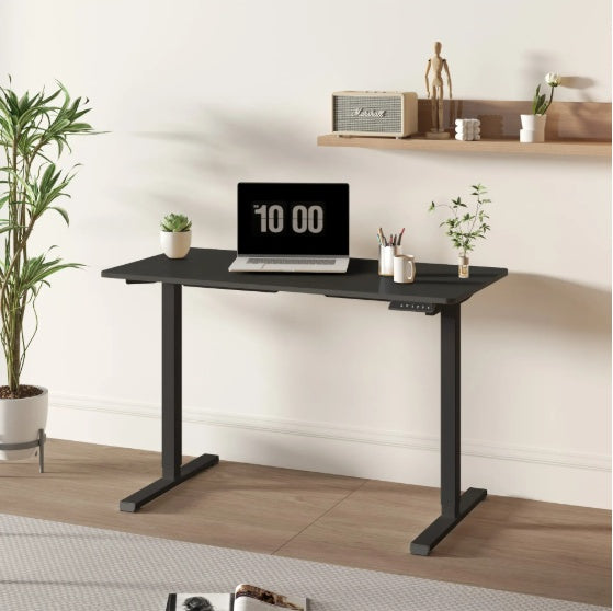 Electric Standing Desk Adjustable Height Sit Stand Desk