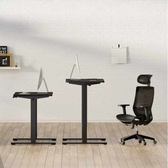 Electric Standing Desk Adjustable Height Sit Stand Desk