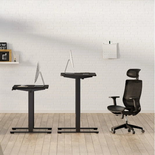 Electric Standing Desk Adjustable Height Sit Stand Desk