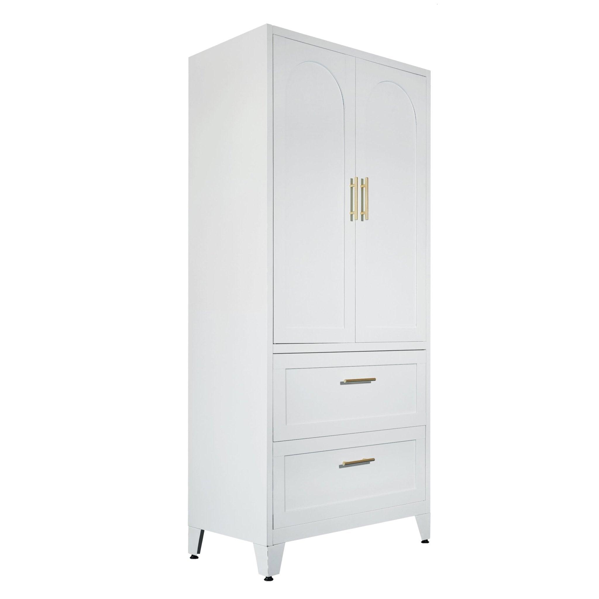 Anthony & Home Elite Steel Wardrobe Cabinet with drawers and hanging rod, featuring a sleek metal finish and organized storage compartments.