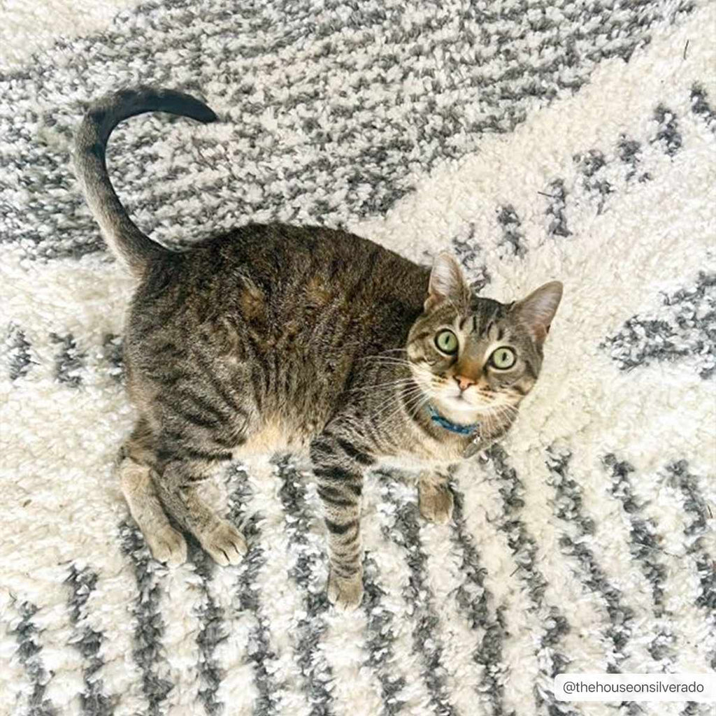 Moroccan Boho Shag Area Rug from Hauteloom's Exclusive Collection featuring soft, plush fibers and intricate tribal patterns.