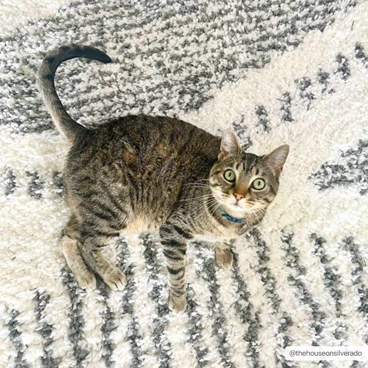 Moroccan Boho Shag Area Rug from Hauteloom's Exclusive Collection featuring soft, plush fibers and intricate tribal patterns.